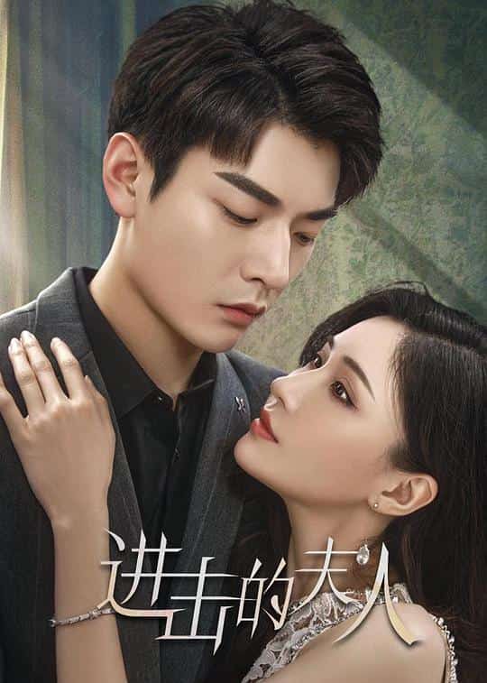 [2024][中国大陆][剧情]《进击的夫人》[4K][1080P][迅雷BT][资源下载]