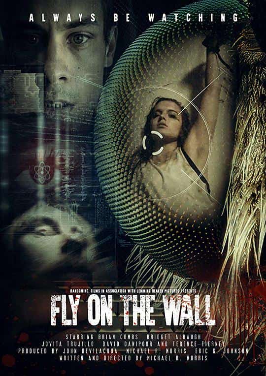 [2017][美国][动作]《Fly on the Wall》[4K][1080P][迅雷BT][资源下载]