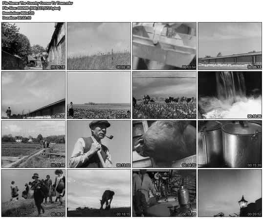 [1933][英国][]《The Country Comes to Town》[4K][1080P][迅雷BT][资源下载]