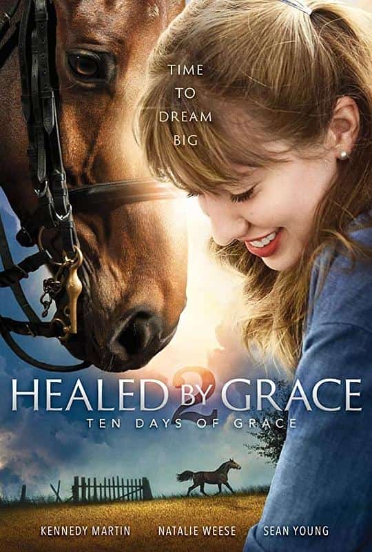 [2018][美国][家庭]《Healed by Grace 2》[4K][1080P][迅雷BT][资源下载]