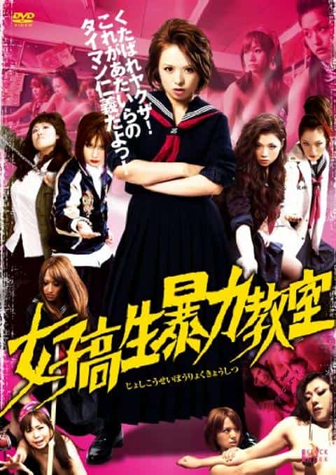 [2012][日本][动作]《女高中生暴力教室 母蜂的复仇》[4K][1080P][迅雷BT][资源下载]