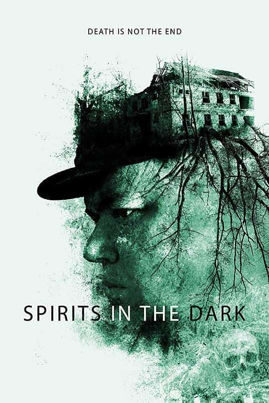 [2019][匈牙利 Hungary][剧情]《Spirits in the Dark》[4K][1080P][迅雷BT][资源下载]