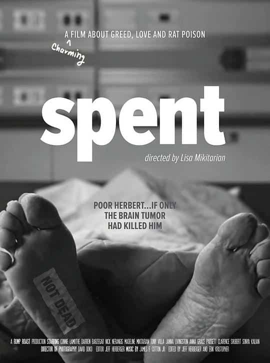 [2017][美国][喜剧]《Spent》[4K][1080P][迅雷BT][资源下载]