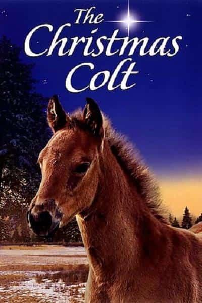 [2013][美国][剧情]《The Christmas Colt》[4K][1080P][迅雷BT][资源下载]