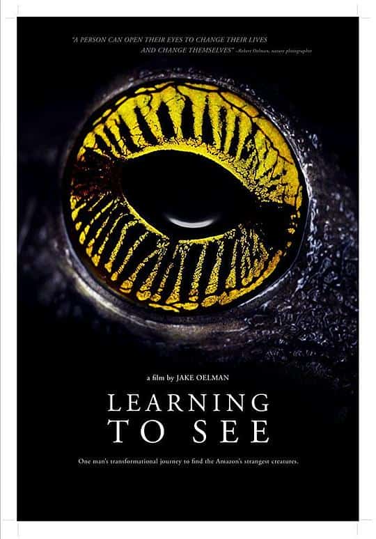 [2016][哥伦比亚][纪录]《Learning to See: The World of Insects》[4K][1080P][迅雷BT][资源下载]