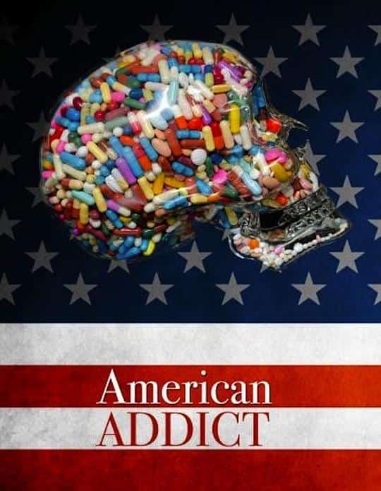 [2012][美国][纪录]《American Addict》[4K][1080P][迅雷BT][资源下载]