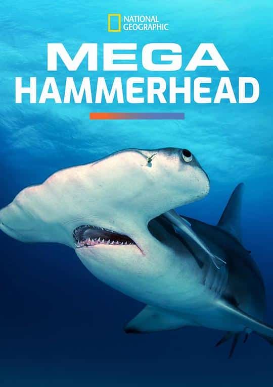 [2016][美国][纪录]《Mega Hammerhead》[4K][1080P][迅雷BT][资源下载]