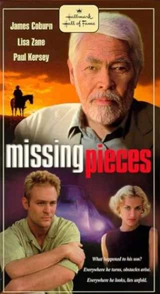 [2000][美国][剧情]《Missing Pieces》[4K][1080P][迅雷BT][资源下载]