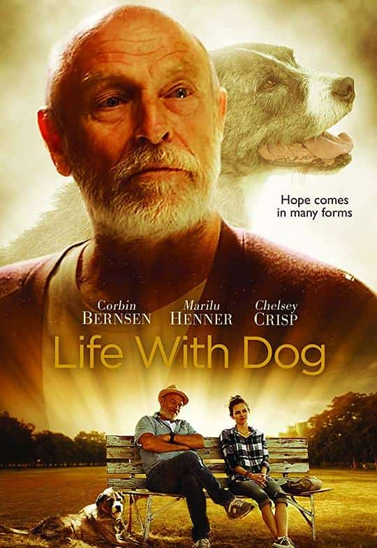 [2018][美国][剧情]《Life with Dog》[4K][1080P][迅雷BT][资源下载]