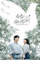 【蓝光|原盘|收藏】《白色橄榄树[第23-24集][国语配音+中文字幕].The.White.Olive.Tree.S01.2025》[4K][2160P][11.09GB][中国大陆]