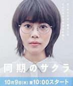 【蓝光|原盘|收藏】《同期的小樱doki.no.sakura.2019》[4K][2160P][89.33GB][日本]