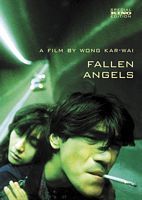 【蓝光|原盘|收藏】《堕落天使Fallen.Angels.1995.4K.HDR.DV》[4K][2160P][47.96GB][中国香港]
