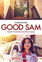【蓝光|原盘|收藏】《神秘慈善家Good.Sam.2019》[4K][2160P][7.94GB][美国]