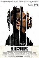 【蓝光|原盘|收藏】《盲点Blindspotting.2018.MULTI》[4K][2160P][10.71GB][美国]