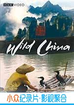 纪录电影《美丽中国》-蓝光4K/1080P/720P/360P高清标清网盘BT迅雷下载小众纪录片电影下载