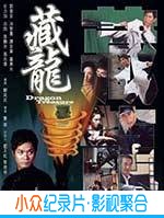动作电影《藏龙》-蓝光4K/1080P/720P/360P高清标清网盘BT迅雷下载小众纪录片电影下载