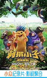 动画电影《刺猬小子之天生我刺》-蓝光4K/1080P/720P/360P高清标清网盘BT迅雷下载小众纪录片电影下载