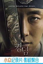 欧美电视剧《王国》-蓝光4K/1080P/720P/360P高清标清网盘BT迅雷下载小众纪录片电影下载