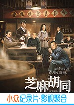 大陆电视剧《芝麻胡同》-蓝光4K/1080P/720P/360P高清标清网盘BT迅雷下载小众纪录片电影下载