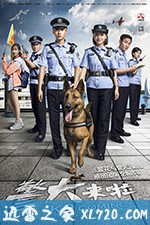 大陆电视剧《警犬来啦》-蓝光4K/1080P/720P/360P高清标清网盘BT迅雷下载小众纪录片电影下载