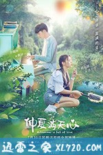 大陆电视剧《仲夏满天心》-蓝光4K/1080P/720P/360P高清标清网盘BT迅雷下载小众纪录片电影下载