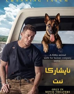喜剧电影《忠犬》--蓝光4K/1080P/720P/360P高清标清网盘百度云BT种子磁力迅雷下载