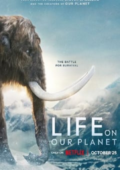 电视剧《我们星球上的生命》--蓝光4K/1080P/720P/360P高清标清网盘百度云BT种子磁力迅雷下载