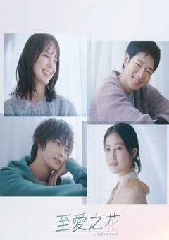电视剧《最喜欢的花》--蓝光4K/1080P/720P/360P高清标清网盘百度云BT种子磁力迅雷下载