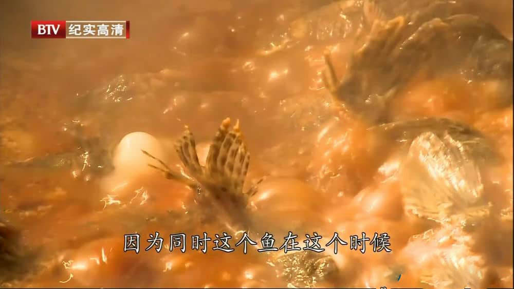 BTV美食纪录片《江南味道》[全8集][中字][720P][网盘][资源下载]