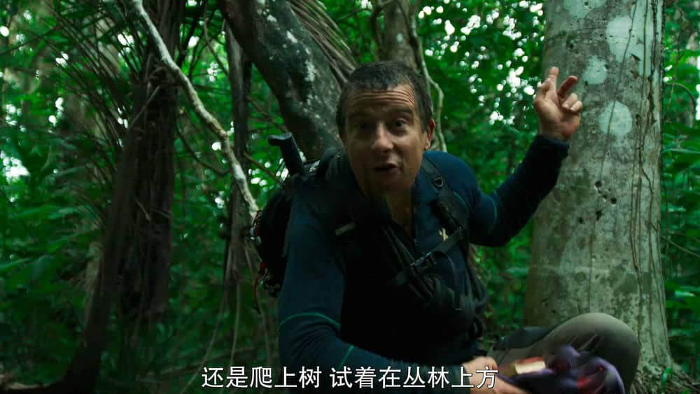 Netflix纪录片《你的荒野求生 You vs. Wild 2019》[全8集][中字][1080P][网盘][资源下载]