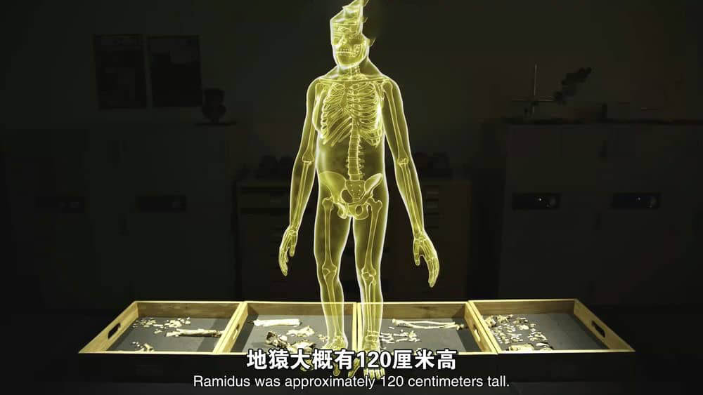 NHK纪录片《人类：走出摇篮 The Origins of Humanity 2019》[全1集][中英双字][1080P][网盘][资源下载]