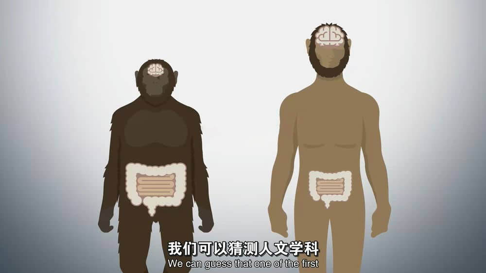 NHK纪录片《人类：走出摇篮 The Origins of Humanity 2019》[全1集][中英双字][1080P][网盘][资源下载]