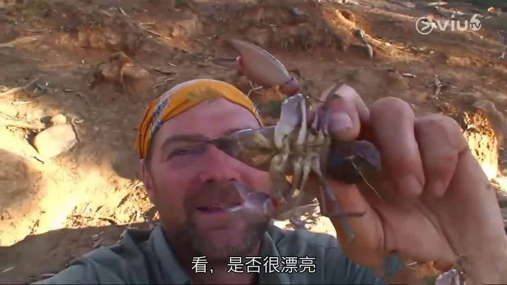 探索频道纪录片《现代鲁滨逊 Survivorman》[第三季全6集][中字][720P][网盘][资源下载]