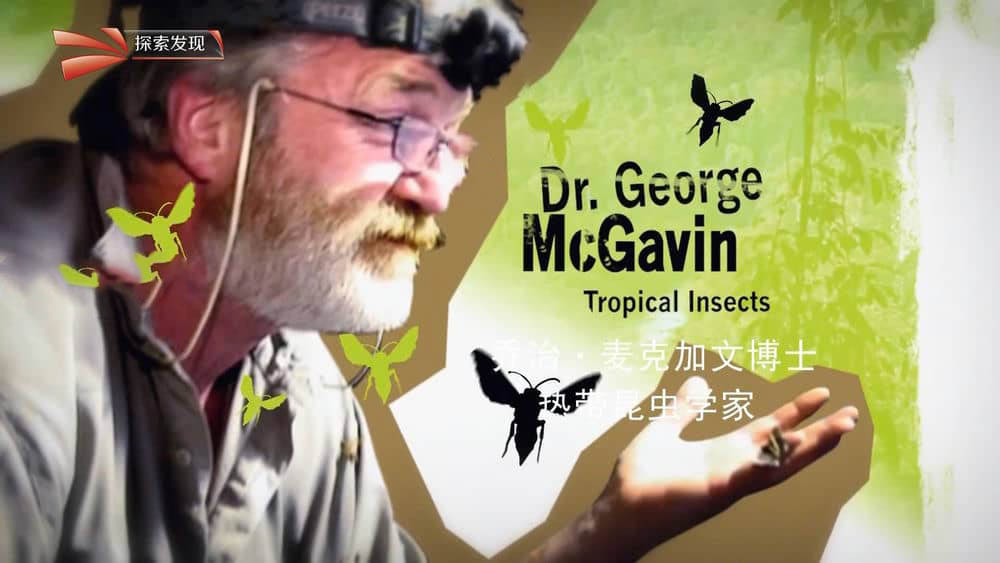 BBC纪录片《探索圭亚那 Expedition Guyana 2008》[全3集][中字][1080P][网盘][资源下载]