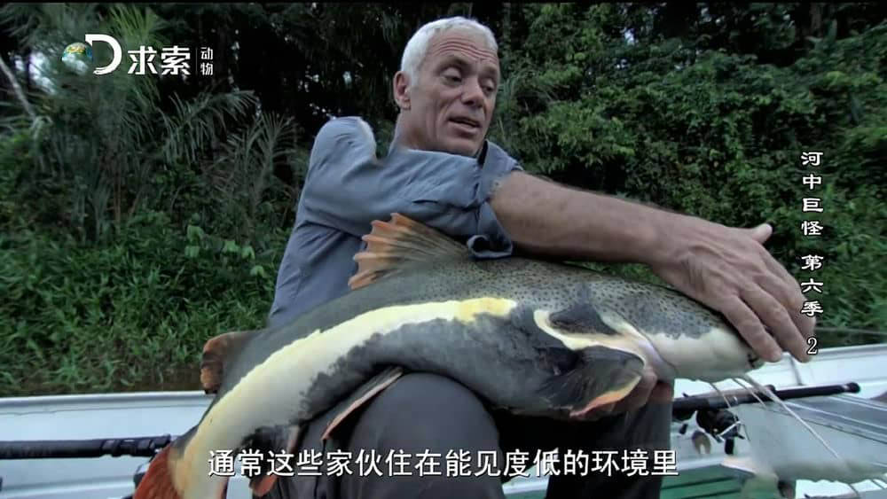 探索频道纪录片《河中巨怪 River Monsters》[第六季全6集][中字][1080P][网盘][资源下载]