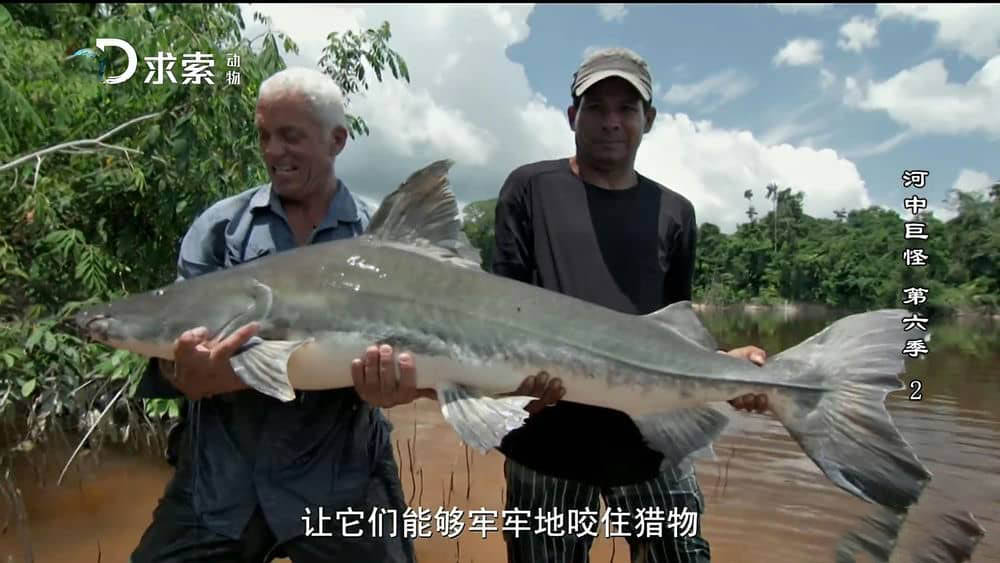 探索频道纪录片《河中巨怪 River Monsters》[第六季全6集][中字][1080P][网盘][资源下载]