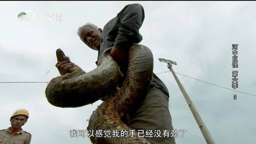 探索频道纪录片《河中巨怪 River Monsters》[第六季全6集][中字][1080P][网盘][资源下载]