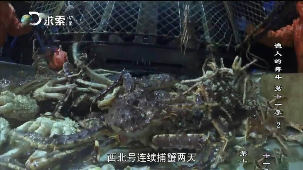 探索频道纪录片《渔人的搏斗 Deadliest Catch》[第十一季全18集][中字][720P][网盘][资源下载]