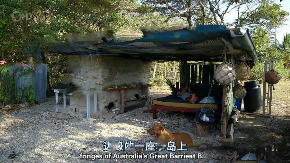 Ch5纪录片《荒野新生 世外野人 New Life in the Wild》[第一季全4集][中英双字][720P][网盘][资源下载]