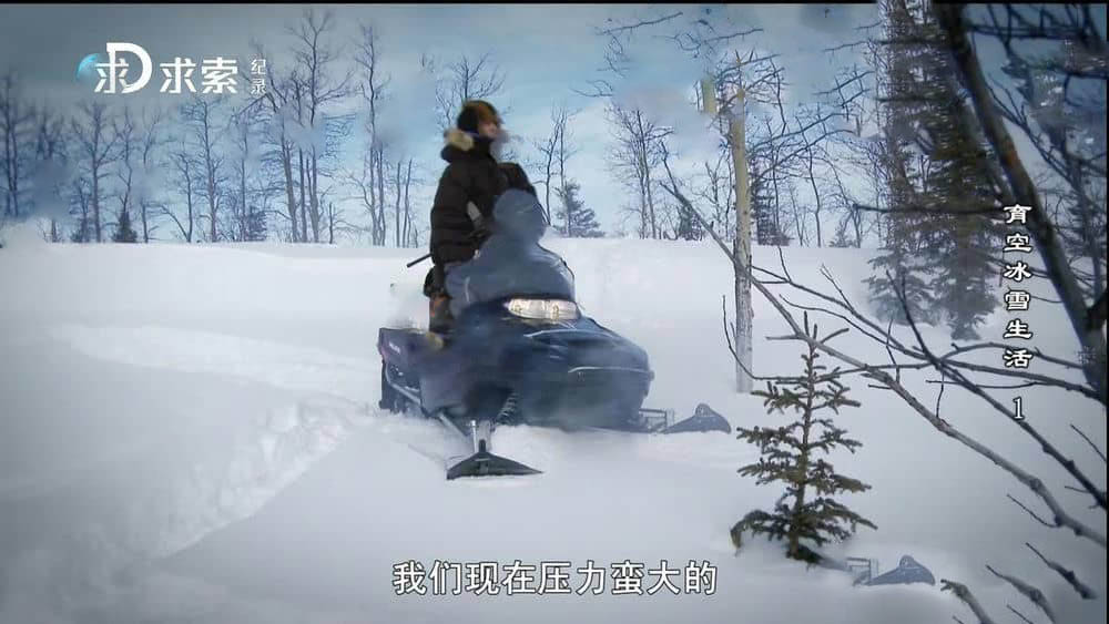 探索频道《育空冰雪生活 Yukon Men》[第一季全9集][中字][720P][网盘][资源下载]