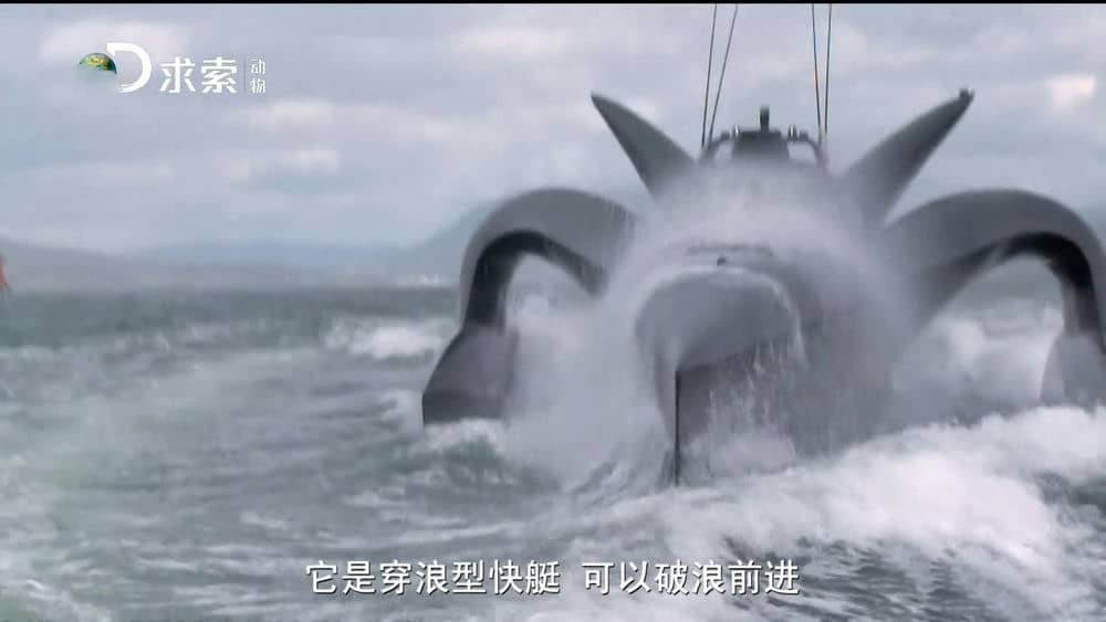 探索频道《护鲸大战 Whale Wars》[第三季全13集][中字][1080P][网盘][资源下载]