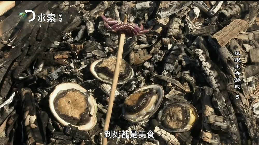 探索频道《极限生存游戏》[第一季全7集][中字][1080P][网盘][资源下载]