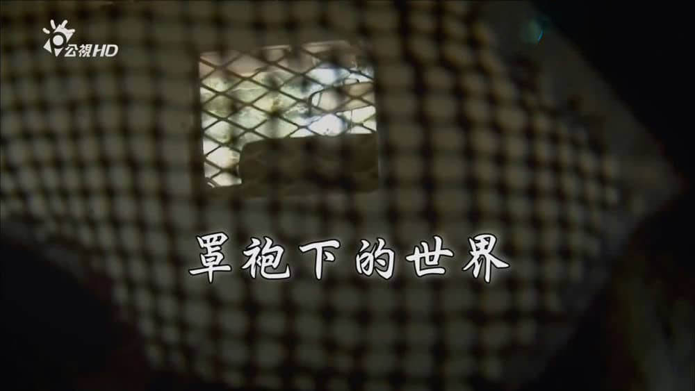 台湾公视译制纪录片《罩袍下的世界 No Burqas Behind Bars 2012》[全1集][中字][720P][网盘][资源下载]