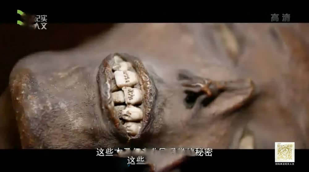 上海纪实频道纪录片《揭开木乃伊 Mummies Unwrapped》[全3集][中字][DVD画质][网盘][资源下载]