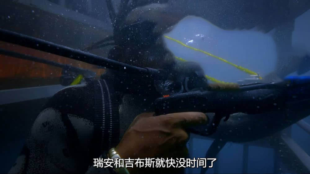 国家地理纪录片《鲨鱼幻色术 Camo Sharks 2022》[全1集][中字][1080P][网盘][资源下载]