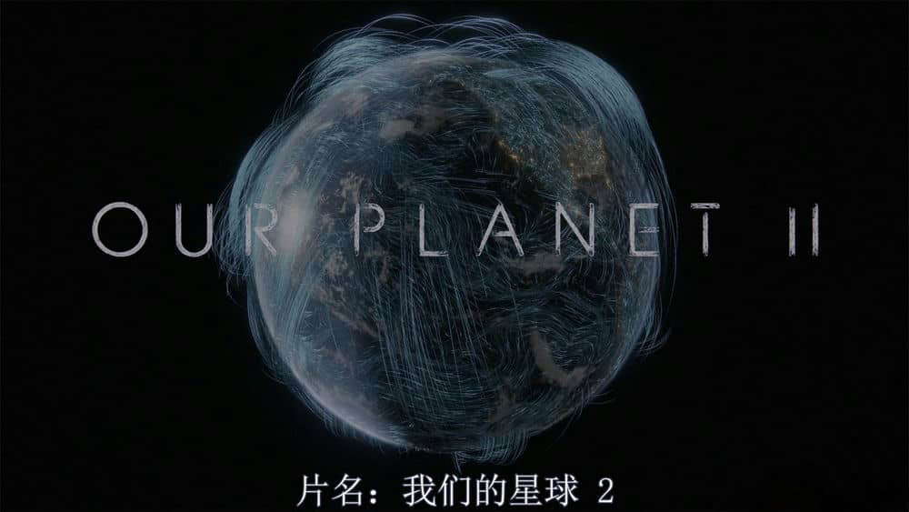 Netflix纪录片《我们的星球 Our Planet 2023》[第二季全4集][无字幕][外挂字幕][4K][网盘][资源下载]