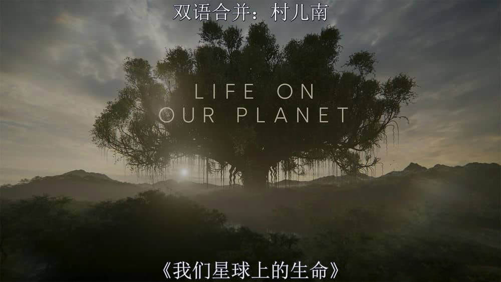 Netflix纪录片《我们星球上的生命 Life on Our Planet 2023》[全8集][无字幕][外挂字幕][4K][网盘][资源下载]