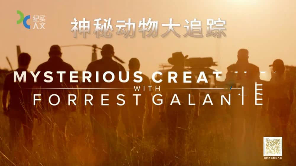 上海纪实频道纪录片《神秘动物大追踪 Mysterious Creatures》[全6集][中字][DVD画质][网盘][资源下载]