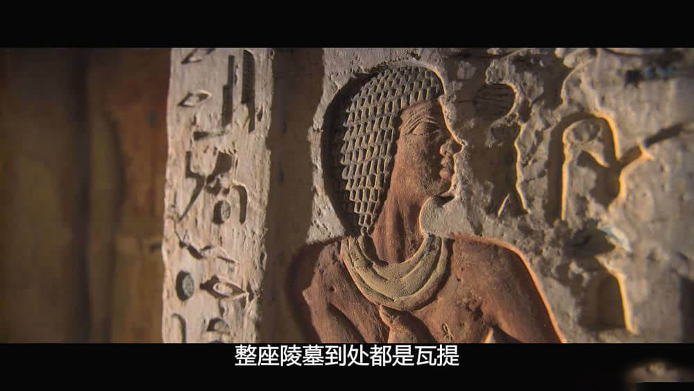 Netflix纪录片《塞加拉陵墓揭秘 Secrets of the Saqqara Tomb 2020》[全1集][无字幕][外挂字幕][1080P][网盘][资源下载]