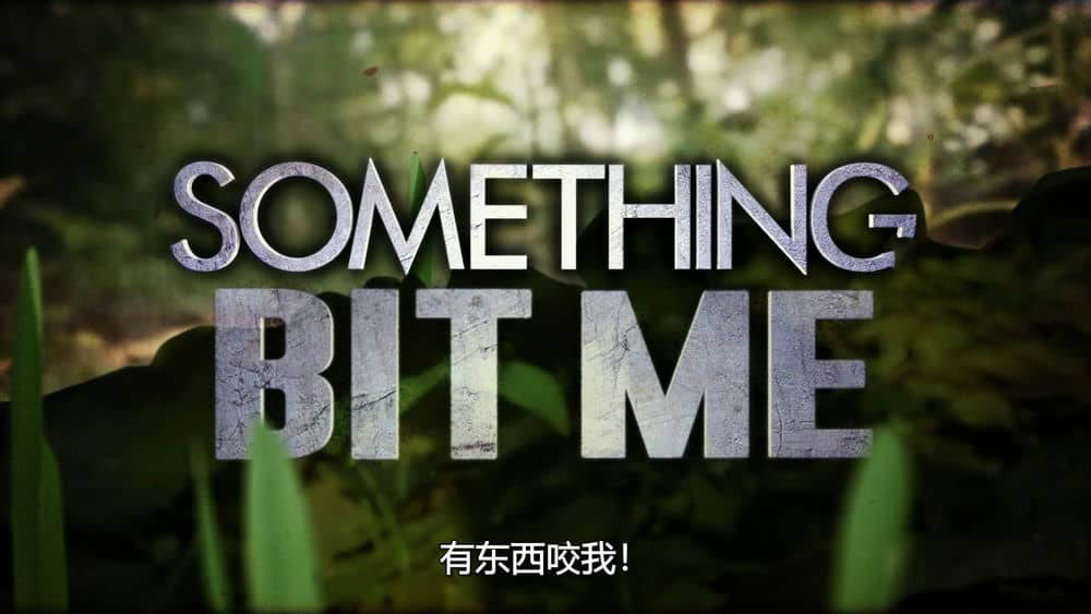 国家地理纪录片《致命咬痕 有东西咬我！ Something Bit Me! 2022》[全12集][中字][1080P][网盘][资源下载]